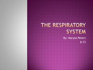 The Respiratory System By: MarysaPeters 8-73 