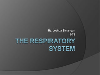 The Respiratory System By: Joshua Simangan 8-73 
