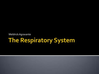 The Respiratory System MeldrickAgravante 