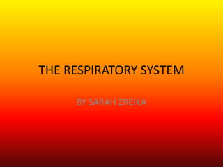 THE RESPIRATORY SYSTEM  BY SARAH ZREIKA  