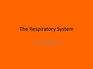 The Respiratory System  By Evangeline 