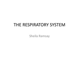 THE RESPIRATORY SYSTEM Sheila Ramsay 