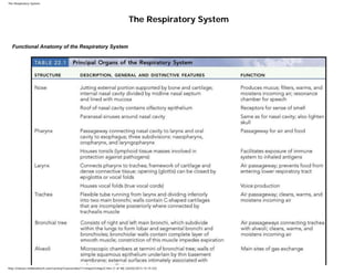 The Respiratory System




                                                                                    The Respiratory System


  Functional Anatomy of the Respiratory System




http://classes.midlandstech.com/carterp/Courses/bio211/chap22/chap22.htm (1 of 48) [26/02/2013 14:15:53]
 