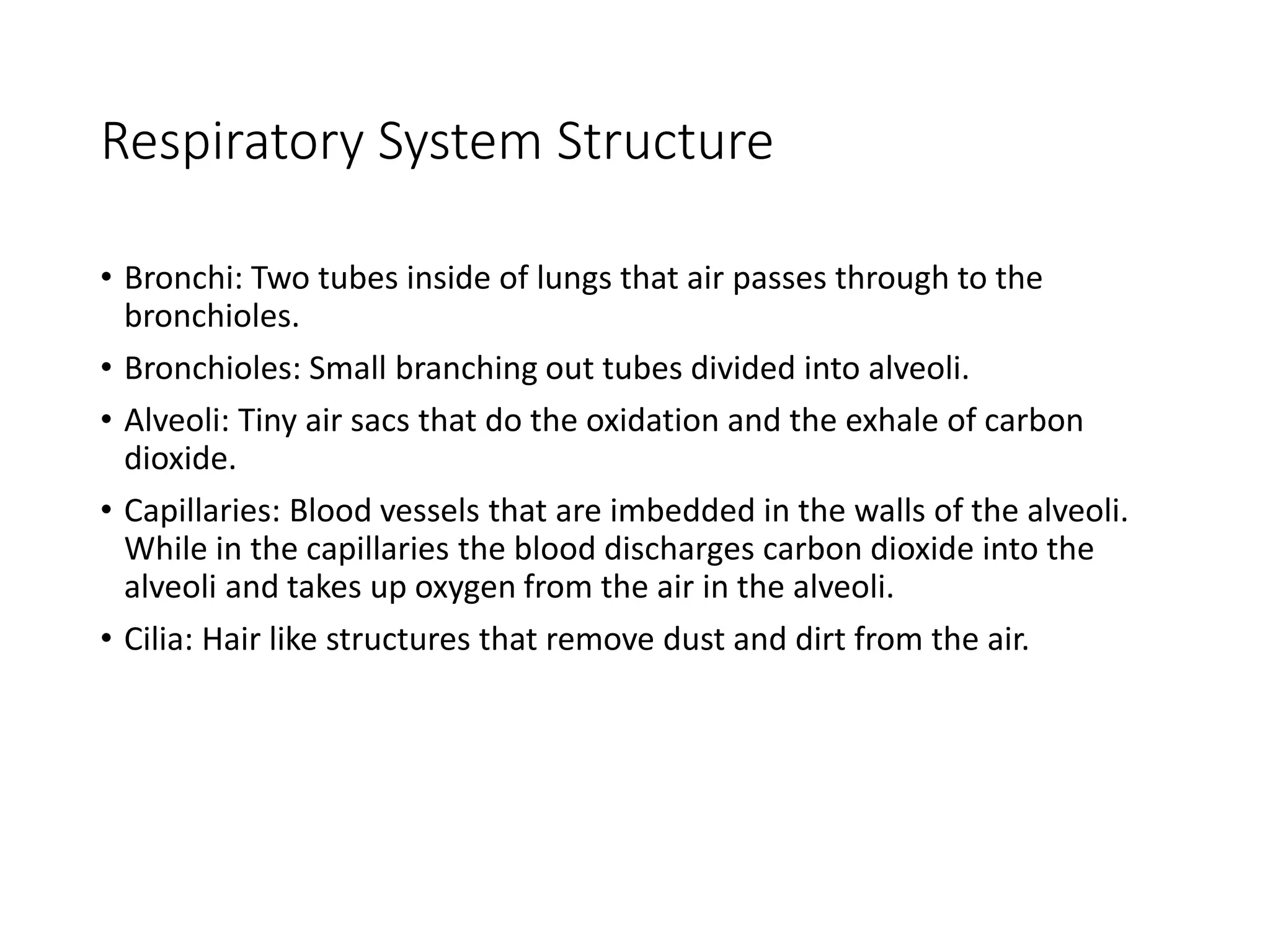 Respiratory System Structure
• Bronchi: Two tubes inside of lungs that air passes through to the
bronchioles.
• Bronchioles: Small branching out tubes divided into alveoli.
• Alveoli: Tiny air sacs that do the oxidation and the exhale of carbon
dioxide.
• Capillaries: Blood vessels that are imbedded in the walls of the alveoli.
While in the capillaries the blood discharges carbon dioxide into the
alveoli and takes up oxygen from the air in the alveoli.
• Cilia: Hair like structures that remove dust and dirt from the air.
 