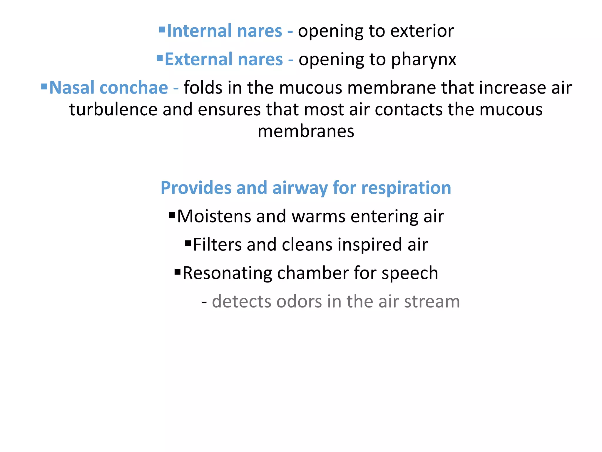 Internal nares - opening to exterior
External nares - opening to pharynx
Nasal conchae - folds in the mucous membrane that increase air
turbulence and ensures that most air contacts the mucous
membranes
Provides and airway for respiration
Moistens and warms entering air
Filters and cleans inspired air
Resonating chamber for speech
- detects odors in the air stream
 