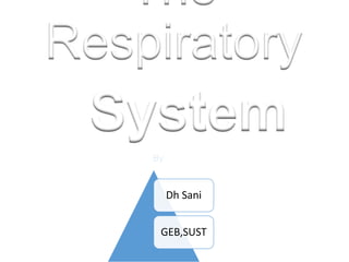 The
Respiratory
System
Dh Sani
GEB,SUST
By
 