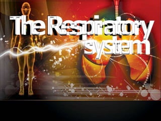 T
h
eRespiratory
system
 