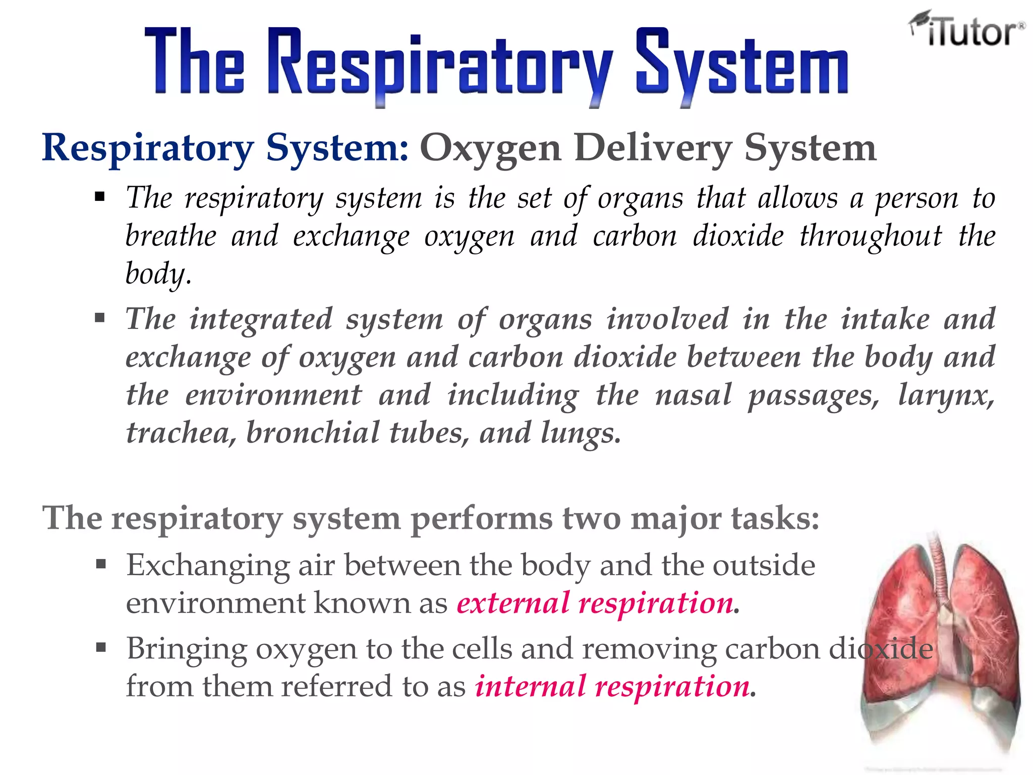 Respiratory System: Oxygen Delivery System
 The respiratory system is the set of organs that allows a person to
breathe and exchange oxygen and carbon dioxide throughout the
body.
 The integrated system of organs involved in the intake and
exchange of oxygen and carbon dioxide between the body and
the environment and including the nasal passages, larynx,
trachea, bronchial tubes, and lungs.
The respiratory system performs two major tasks:
 Exchanging air between the body and the outside
environment known as external respiration.
 Bringing oxygen to the cells and removing carbon dioxide
from them referred to as internal respiration.
 
