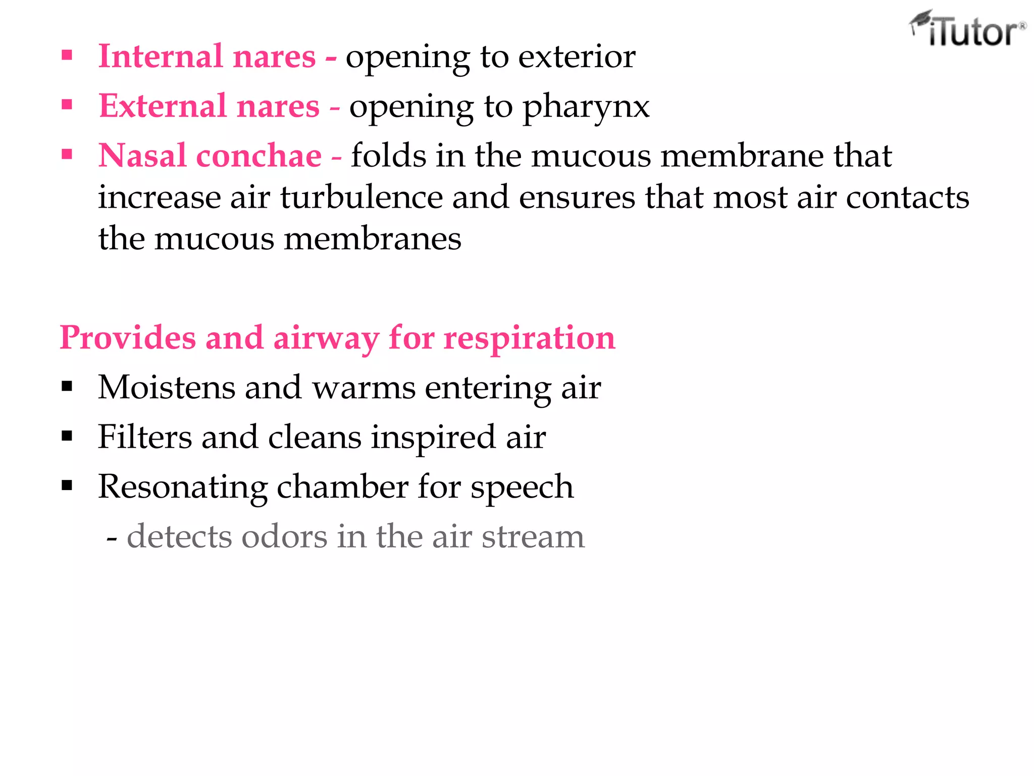  Internal nares - opening to exterior
 External nares - opening to pharynx
 Nasal conchae - folds in the mucous membrane that
increase air turbulence and ensures that most air contacts
the mucous membranes
Provides and airway for respiration
 Moistens and warms entering air
 Filters and cleans inspired air
 Resonating chamber for speech
- detects odors in the air stream
 