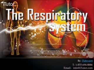 The Respiratory
system
T- 1-855-694-8886
Email- info@iTutor.com
By iTutor.com
 