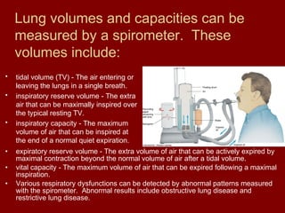 Lung volumes and capacities can be
measured by a spirometer. These
volumes include:
• tidal volume (TV) - The air entering or
leaving the lungs in a single breath.
• inspiratory reserve volume - The extra
air that can be maximally inspired over
the typical resting TV.
• inspiratory capacity - The maximum
volume of air that can be inspired at
the end of a normal quiet expiration.
• expiratory reserve volume - The extra volume of air that can be actively expired by
maximal contraction beyond the normal volume of air after a tidal volume.
• vital capacity - The maximum volume of air that can be expired following a maximal
inspiration.
• Various respiratory dysfunctions can be detected by abnormal patterns measured
with the spirometer. Abnormal results include obstructive lung disease and
restrictive lung disease.
 