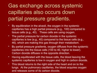 Gas exchange across systemic
capillaries also occurs down
partial pressure gradients.
• By equilibration in the alveoli, the oxygen in the systemic
capillaries has a high partial pressure (e.g., 100) compared to
tissue cells (e.g., 40). These cells are using oxygen.
• The partial pressure for carbon dioxide in the systemic
capillaries is low (e.g., 40) compared to the tissue cells (e.g.,
46), which are making this gas through their metabolism.
• By partial pressure gradients, oxygen diffuses from the systemic
capillaries into the tissue cells (100 to 40, higher to lower).
Carbon dioxide diffuses in the opposite direction.
• Having equilibrated with the tissue cells, the blood leaving the
systemic capillaries is low in oxygen and high in carbon dioxide.
• This blood returns to the right side of the heart and on to the
lungs. At the pulmonary capillaries, the blood acquires oxygen
and releases some of its carbon dioxide.
 