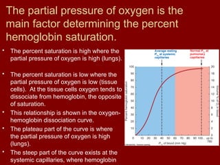 The partial pressure of oxygen is the
main factor determining the percent
hemoglobin saturation.
• The percent saturation is high where the
partial pressure of oxygen is high (lungs).
• The percent saturation is low where the
partial pressure of oxygen is low (tissue
cells). At the tissue cells oxygen tends to
dissociate from hemoglobin, the opposite
of saturation.
• This relationship is shown in the oxygen-
hemoglobin dissociation curve.
• The plateau part of the curve is where
the partial pressure of oxygen is high
(lungs).
• The steep part of the curve exists at the
systemic capillaries, where hemoglobin
 