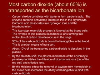 Most carbon dioxide (about 60%) is
transported as the bicarbonate ion.
• Carbon dioxide combines with water to form carbonic acid. The
enzyme carbonic anhydrase facilitates this in the erythrocyte.
Carbonic acid dissociates into hydrogen ions and the
bicarbonate ion.
• This two-step, reversible process is favored at the tissue cells.
The reverse of this process (bicarbonate ions forming free
molecules of carbon dioxide) occurs in the lungs.
• 30% of the carbon dioxide is bound to hemoglobin in the blood.
This is another means of transport.
• About 10% of the transported carbon dioxide is dissolved in the
plasma.
• By the chloride shift, the plasma membrane of the erythrocyte
passively facilitates the diffusion of bicarbonate ions (out of the
red cell) and chloride ions.
• By the Haldane effect the removal of oxygen from hemoglobin at
the tissue cells increases the ability of hemoglobin to bind with
carbon dioxide.
 