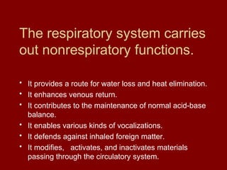 The respiratory system carries
out nonrespiratory functions.
• It provides a route for water loss and heat elimination.
• It enhances venous return.
• It contributes to the maintenance of normal acid-base
balance.
• It enables various kinds of vocalizations.
• It defends against inhaled foreign matter.
• It modifies, activates, and inactivates materials
passing through the circulatory system.
 
