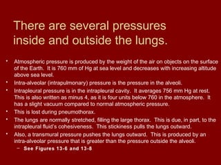 There are several pressures
inside and outside the lungs.
• Atmospheric pressure is produced by the weight of the air on objects on the surface
of the Earth. It is 760 mm of Hg at sea level and decreases with increasing altitude
above sea level.
• Intra-alveolar (intrapulmonary) pressure is the pressure in the alveoli.
• Intrapleural pressure is in the intrapleural cavity. It averages 756 mm Hg at rest.
This is also written as minus 4, as it is four units below 760 in the atmosphere. It
has a slight vacuum compared to normal atmospheric pressure.
• This is lost during pneumothorax.
• The lungs are normally stretched, filling the large thorax. This is due, in part, to the
intrapleural fluid’s cohesiveness. This stickiness pulls the lungs outward.
• Also, a transmural pressure pushes the lungs outward. This is produced by an
intra-alveolar pressure that is greater than the pressure outside the alveoli.
– See Figures 13-6 and 13-8
 