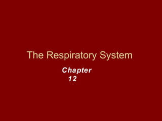 The Respiratory System
Chapter
12
 