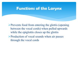 Prevents food from entering the glottis (opening
between the vocal cords) when pulled upwards
while the epiglottis closes up the glottis
Production of vocal sounds when air passes
through the vocal cords
Functions of the Larynx
 