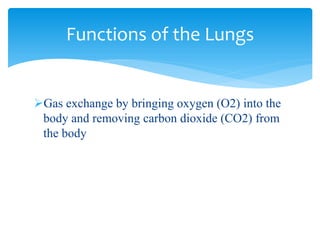Gas exchange by bringing oxygen (O2) into the
body and removing carbon dioxide (CO2) from
the body
Functions of the Lungs
 