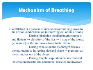 Ventilation is a process of inhalation (air moving down to
the alveoli) and exhalation (air moving out of the alveoli)
- During inhalation the diaphragm contracts
and flattens → elevation of the ribs → ↑ size of the thorax
(- pressure) as the air moves down to the alveoli
- During exhalation the diaphragm relaxes →
thorax returns to its resting size and shape (+ pressure) as
the air moves out of the alveoli
- During forceful expiration the internal and
external intercostal and abdominal muscles are involved
Mechanism of Breathing
 