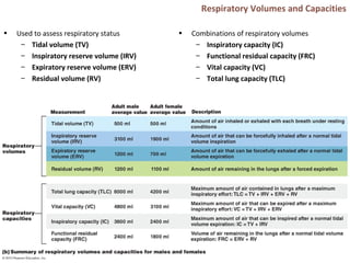 Respiratory Volumes and Capacities
• Used to assess respiratory status
– Tidal volume (TV)
– Inspiratory reserve volume (IRV)
– Expiratory reserve volume (ERV)
– Residual volume (RV)
• Combinations of respiratory volumes
– Inspiratory capacity (IC)
– Functional residual capacity (FRC)
– Vital capacity (VC)
– Total lung capacity (TLC)
 