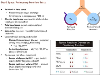 Dead Space. Pulmonary Function Tests
• Anatomical dead space
– No contribution to gas exchange
– Air remaining in passageways; ~150 ml
• Alveolar dead space–non-functional alveoli due
to collapse or obstruction
• Total dead space-sum of anatomical and
alveolar dead space
• Spirometer measures respiratory volumes and
capacities
• Spirometry can distinguish between
– Obstructive pulmonary disease—increased
airway resistance (e.g., bronchitis)
• TLC, FRC, RV ↑
– Restrictive disorders — VC, TLC, FRC, RV ↓
(disease or fibrosis)
• To measure rate of gas movement
– Forced vital capacity (FVC) — gas forcibly
expelled after taking deep breath
– Forced expiratory volume (FEV) — amount
of gas expelled during specific time
intervals of FVC
 