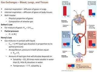 Gas Exchanges – Blood, Lungs, and Tissues
• External respiration – diffusion of gases in lungs
• Internal respiration – diffusion of gases at body tissues
• Both involve
– Physical properties of gases
– Composition of alveolar gas
Dalton’s Law
• For mixture of gases: Ptotal = Σ Pindividual
• Partial pressure
– Pi = k C● i
Henry’s Law
• Gas mixtures in contact with liquid
– Cwater = ks P● i (each gas dissolves in proportion to its
partial pressure)
– At equilibrium, pressure in both phases equal:
• Pwater= Pair
– Amount of each gas that will dissolve depends on
• Solubility – CO2 20 times more soluble in water
than O2; little N2 dissolves in water
• Temperature – T ↑, solubility ↓
 