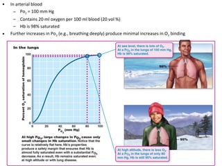 • In arterial blood
– Po2 = 100 mm Hg
– Contains 20 ml oxygen per 100 ml blood (20 vol %)
– Hb is 98% saturated
• Further increases in Po2 (e.g., breathing deeply) produce minimal increases in O2 binding
 