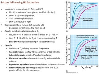Factors Influencing Hb Saturation
• Increases in temperature, H+
, Pco2, and BPG
– Modify structure of hemoglobin; its affinity for O2 ↓
– Occur in systemic capillaries
– ↑ O2 unloading from blood
– Shift O2-Hb curve to right
• Decreases in these factors shift curve to left
– Decreases oxygen unloading from blood
• As cells metabolize glucose and use O2
– Pco2 and H+
↑ in capillary blood  blood pH ↓, Pco2 ↑
– Heat ↑  Hb affinity for O2 ↓  oxygen unloading ↑
– Bohr effect: oxygen unloading in tissues that use O2
• Hypoxia
– Inadequate O2 delivery to tissues  cyanosis
– Anemic hypoxia–too few RBCs; abnormal or too little Hb
– Ischemic hypoxia–impaired/blocked circulation
– Histotoxic hypoxia–cells unable to use O2, as in metabolic
poisons
– Hypoxemic hypoxia–abnormal ventilation; pulmonary disease
– Carbon monoxide poisoning–especially from fire; 200X
greater affinity for Hb than oxygen
 