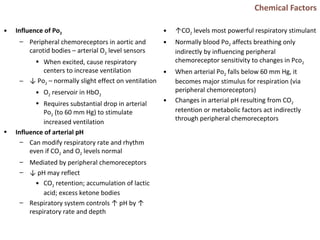 Chemical Factors
• Influence of Po2
– Peripheral chemoreceptors in aortic and
carotid bodies – arterial O2 level sensors
• When excited, cause respiratory
centers to increase ventilation
– ↓ Po2 – normally slight effect on ventilation
• O2 reservoir in HbO2
• Requires substantial drop in arterial
Po2 (to 60 mm Hg) to stimulate
increased ventilation
• Influence of arterial pH
– Can modify respiratory rate and rhythm
even if CO2 and O2 levels normal
– Mediated by peripheral chemoreceptors
– ↓ pH may reflect
• CO2 retention; accumulation of lactic
acid; excess ketone bodies
– Respiratory system controls ↑ pH by ↑
respiratory rate and depth
• ↑CO2 levels most powerful respiratory stimulant
• Normally blood Po2 affects breathing only
indirectly by influencing peripheral
chemoreceptor sensitivity to changes in Pco2
• When arterial Po2 falls below 60 mm Hg, it
becomes major stimulus for respiration (via
peripheral chemoreceptors)
• Changes in arterial pH resulting from CO2
retention or metabolic factors act indirectly
through peripheral chemoreceptors
 