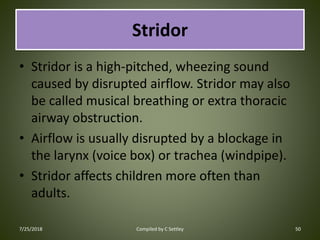 The respiratory system | PDF