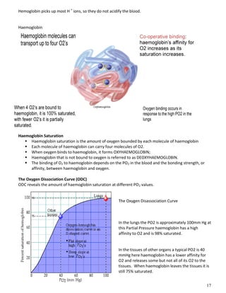 17
Hemoglobin picks up most H +
ions, so they do not acidify the blood.
Haemoglobin
Haemoglobin Saturation
 Haemoglobin saturation is the amount of oxygen bounded by each molecule of haemoglobin
 Each molecule of haemoglobin can carry four molecules of O2.
 When oxygen binds to haemoglobin, it forms OXYHAEMOGLOBIN;
 Haemoglobin that is not bound to oxygen is referred to as DEOXYHAEMOGLOBIN.
 The binding of O2 to haemoglobin depends on the PO2 in the blood and the bonding strength, or
affinity, between haemoglobin and oxygen.
The Oxygen Dissociation Curve (ODC)
ODC reveals the amount of haemoglobin saturation at different PO2 values.
The Oxygen Disassociation Curve
In the lungs the PO2 is approximately 100mm Hg at
this Partial Pressure haemoglobin has a high
affinity to O2 and is 98% saturated.
In the tissues of other organs a typical PO2 is 40
mmHg here haemoglobin has a lower affinity for
O2 and releases some but not all of its O2 to the
tissues. When haemoglobin leaves the tissues it is
still 75% saturated.
 
