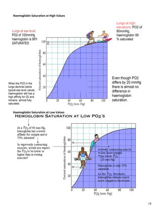 18
Haemoglobin Saturation at High Values
Haemoglobin Saturation at Low Values
 