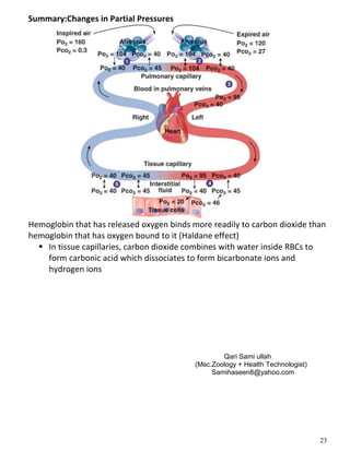 23
Summary:Changes in Partial Pressures
Hemoglobin that has released oxygen binds more readily to carbon dioxide than
hemoglobin that has oxygen bound to it (Haldane effect)
 In tissue capillaries, carbon dioxide combines with water inside RBCs to
form carbonic acid which dissociates to form bicarbonate ions and
hydrogen ions
Qari Sami ullah
(Msc.Zoology + Health Technologist)
Samihaseen8@yahoo.com
 