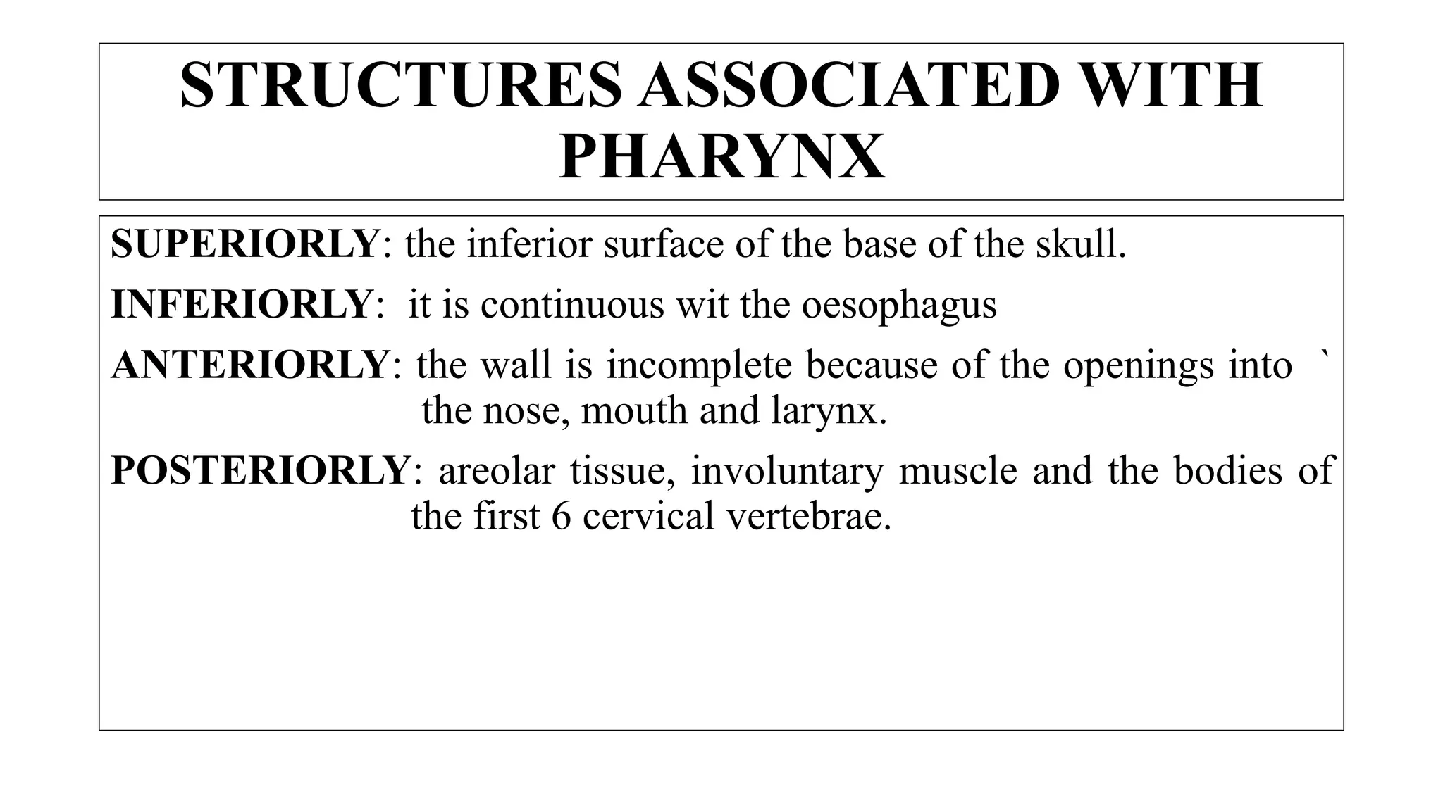 STRUCTURES ASSOCIATED WITH
PHARYNX
SUPERIORLY: the inferior surface of the base of the skull.
INFERIORLY: it is continuous wit the oesophagus
ANTERIORLY: the wall is incomplete because of the openings into `
the nose, mouth and larynx.
POSTERIORLY: areolar tissue, involuntary muscle and the bodies of
the first 6 cervical vertebrae.
 