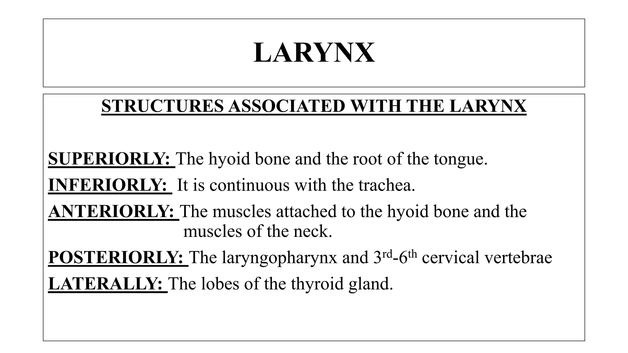 STRUCTURES ASSOCIATED WITH THE LARYNX
SUPERIORLY: The hyoid bone and the root of the tongue.
INFERIORLY: It is continuous with the trachea.
ANTERIORLY: The muscles attached to the hyoid bone and the
muscles of the neck.
POSTERIORLY: The laryngopharynx and 3rd-6th cervical vertebrae
LATERALLY: The lobes of the thyroid gland.
LARYNX
 