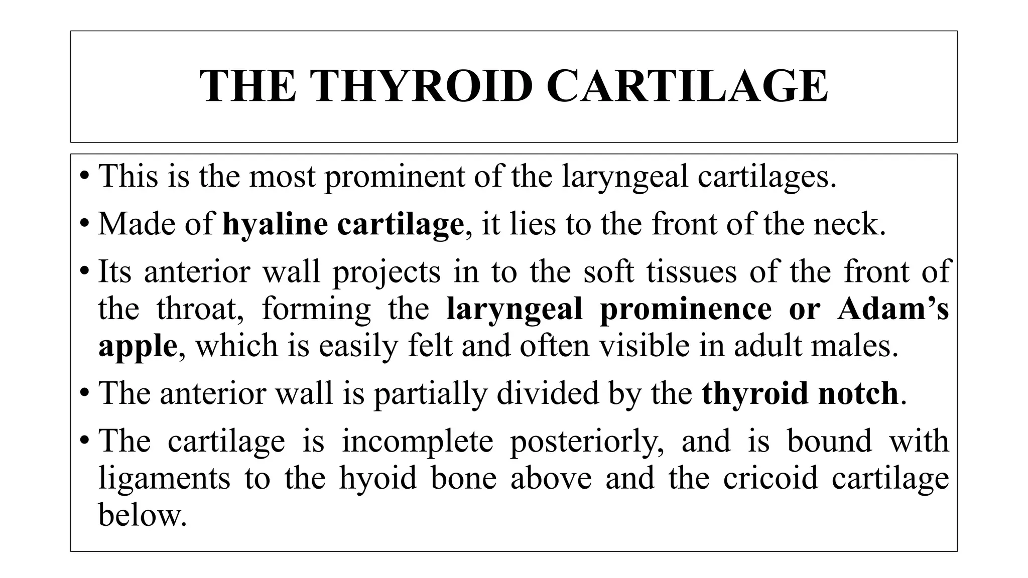 THE THYROID CARTILAGE
• This is the most prominent of the laryngeal cartilages.
• Made of hyaline cartilage, it lies to the front of the neck.
• Its anterior wall projects in to the soft tissues of the front of
the throat, forming the laryngeal prominence or Adam’s
apple, which is easily felt and often visible in adult males.
• The anterior wall is partially divided by the thyroid notch.
• The cartilage is incomplete posteriorly, and is bound with
ligaments to the hyoid bone above and the cricoid cartilage
below.
 