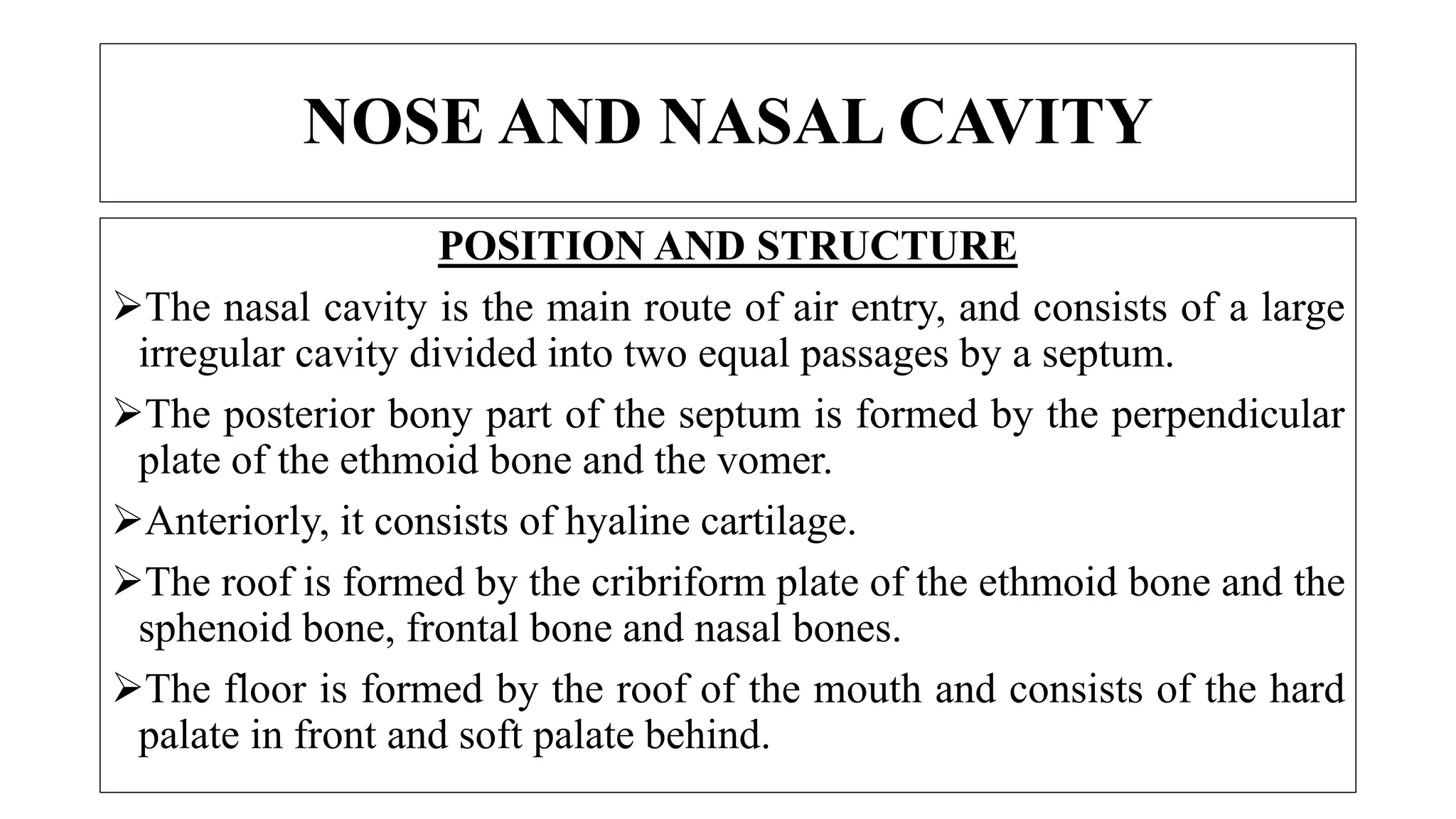 NOSE AND NASAL CAVITY
POSITION AND STRUCTURE
The nasal cavity is the main route of air entry, and consists of a large
irregular cavity divided into two equal passages by a septum.
The posterior bony part of the septum is formed by the perpendicular
plate of the ethmoid bone and the vomer.
Anteriorly, it consists of hyaline cartilage.
The roof is formed by the cribriform plate of the ethmoid bone and the
sphenoid bone, frontal bone and nasal bones.
The floor is formed by the roof of the mouth and consists of the hard
palate in front and soft palate behind.
 