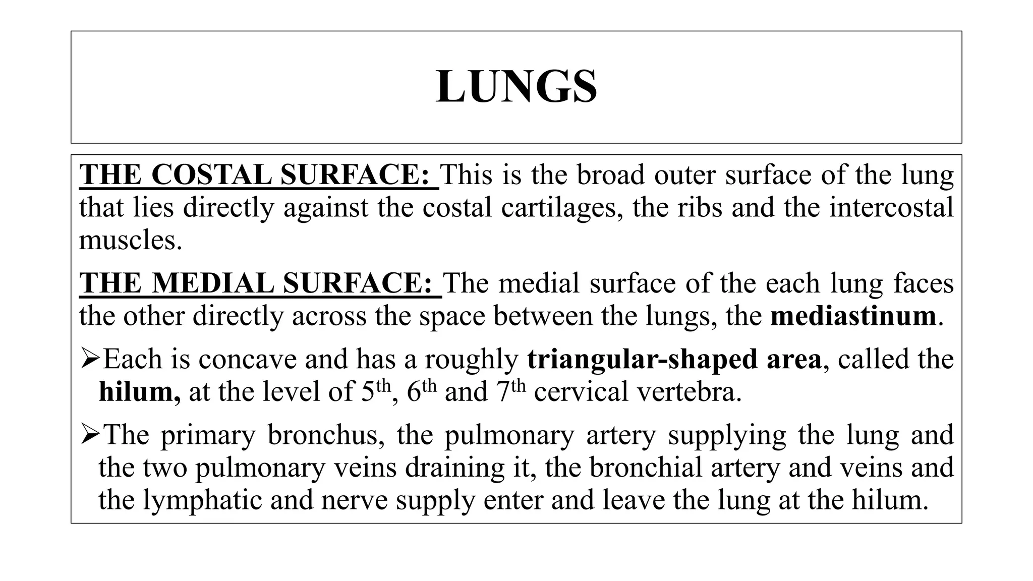LUNGS
THE COSTAL SURFACE: This is the broad outer surface of the lung
that lies directly against the costal cartilages, the ribs and the intercostal
muscles.
THE MEDIAL SURFACE: The medial surface of the each lung faces
the other directly across the space between the lungs, the mediastinum.
Each is concave and has a roughly triangular-shaped area, called the
hilum, at the level of 5th, 6th and 7th cervical vertebra.
The primary bronchus, the pulmonary artery supplying the lung and
the two pulmonary veins draining it, the bronchial artery and veins and
the lymphatic and nerve supply enter and leave the lung at the hilum.
 