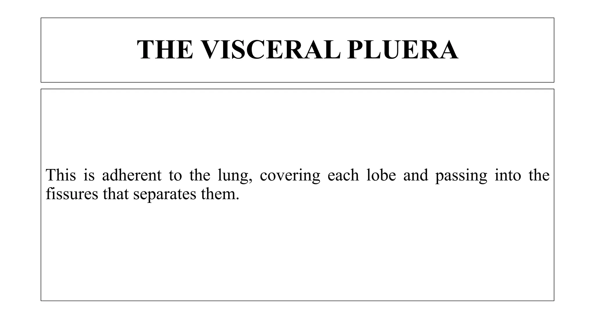 THE VISCERAL PLUERA
This is adherent to the lung, covering each lobe and passing into the
fissures that separates them.
 