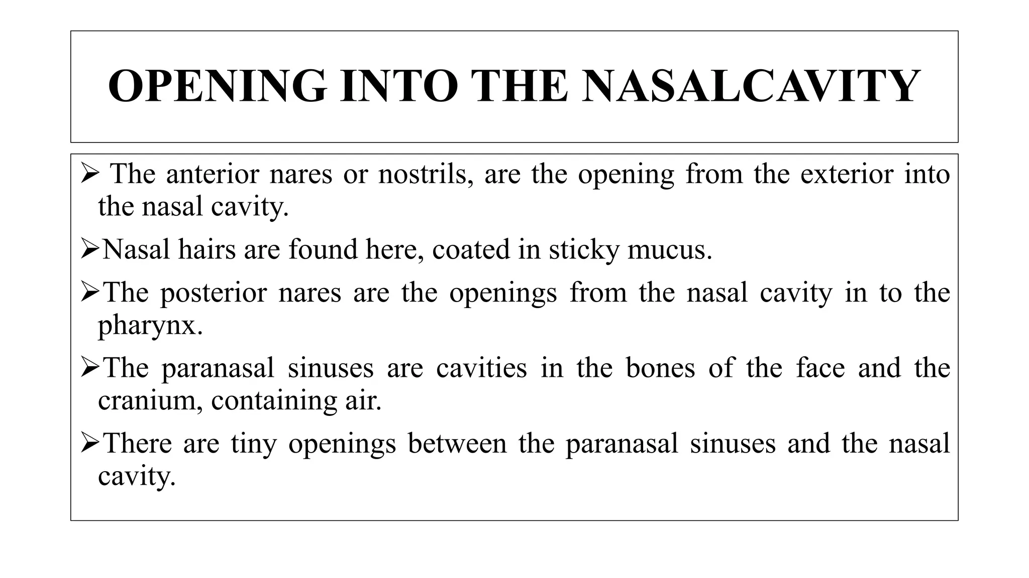 OPENING INTO THE NASALCAVITY
 The anterior nares or nostrils, are the opening from the exterior into
the nasal cavity.
Nasal hairs are found here, coated in sticky mucus.
The posterior nares are the openings from the nasal cavity in to the
pharynx.
The paranasal sinuses are cavities in the bones of the face and the
cranium, containing air.
There are tiny openings between the paranasal sinuses and the nasal
cavity.
 
