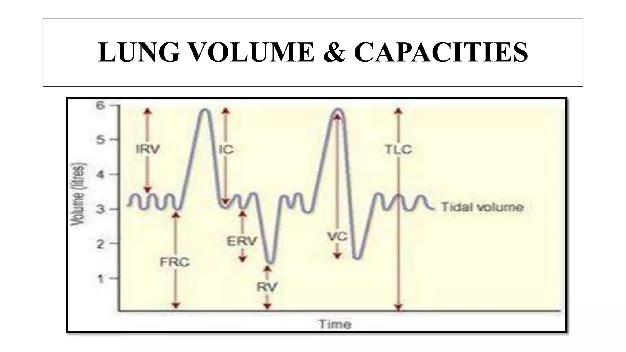 LUNG VOLUME & CAPACITIES
 