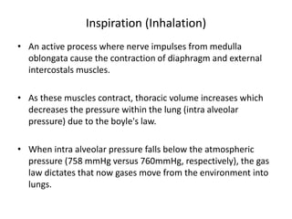 Inspiration (Inhalation)
• An active process where nerve impulses from medulla
oblongata cause the contraction of diaphragm and external
intercostals muscles.
• As these muscles contract, thoracic volume increases which
decreases the pressure within the lung (intra alveolar
pressure) due to the boyle's law.
• When intra alveolar pressure falls below the atmospheric
pressure (758 mmHg versus 760mmHg, respectively), the gas
law dictates that now gases move from the environment into
lungs.
 