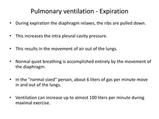 Pulmonary ventilation - Expiration
• During expiration the diaphragm relaxes, the ribs are pulled down.
• This increases the intra pleural cavity pressure.
• This results in the movement of air out of the lungs.
• Normal quiet breathing is accomplished entirely by the movement of
the diaphragm.
• In the "normal sized" person, about 6 liters of gas per minute move
in and out of the lungs.
• Ventilation can increase up to almost 100 liters per minute during
maximal exercise.
 