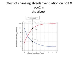 Effect of changing alveolar ventilation on po2 &
pco2 in
the alveoli
 