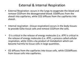 External & Internal Respiration
• External Respiration: occurs in the lungs to oxygenate the blood and
remove CO2from the deoxygenated blood. O2diffuses from the
alveoli into capillaries, while CO2 diffuses from the capillaries into
alveoli.
• Internal respiration : (tissue respiration) occurs in the body tissues
to provide O2to tissue cells and remove CO2from the cells.
• O is critical in the release of energy molecules (i.e. ATP) is critical in
the release of energy molecules (i.e. ATP), a process called cellular
respiration, while CO2is a by product of metabolism which can
become harmful to tissue cells in large quantities.
• O2 diffuses from the capillaries into tissue cells, while CO2diffuses
from tissue cells into capillaries.
 
