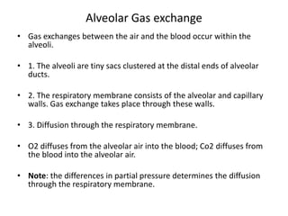 Alveolar Gas exchange
• Gas exchanges between the air and the blood occur within the
alveoli.
• 1. The alveoli are tiny sacs clustered at the distal ends of alveolar
ducts.
• 2. The respiratory membrane consists of the alveolar and capillary
walls. Gas exchange takes place through these walls.
• 3. Diffusion through the respiratory membrane.
• O2 diffuses from the alveolar air into the blood; Co2 diffuses from
the blood into the alveolar air.
• Note: the differences in partial pressure determines the diffusion
through the respiratory membrane.
 
