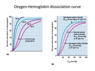 Oxygen-Hemoglobin dissociation curve
 