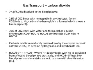 Gas Transport – carbon dioxide
• 7% of CO2is dissolved in the blood plasma.
• 23% of CO2 binds with hemoglobin in erythrocytes. [when
CO2binds to Hb, carb-amino hemoglobin is formed which shows a
bluish pigment].
• 70% of CO2reacts with water and forms carbonic acid in
erythrocytes CO2+ H2O → H2CO3 erythrocytes CO2+ H2O →
H2CO3
• Carbonic acid is immediately broken down by the enzyme carbonic
anhydrase (CA), to become hydrogen ion and bicarbonate ion.
• H2CO3→H+ + HCO3– Where H+ quickly binds with Hb to prevent it
from affecting blood pH too drastically, and HCO3- diffuses into
blood plasma and maintains an ionic balance with chloride anion
(Cl-).
 