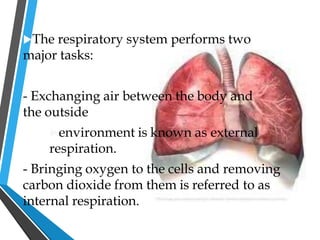The respiratory system performs two
major tasks:
- Exchanging air between the body and
the outside
environment is known as external
respiration.
- Bringing oxygen to the cells and removing
carbon dioxide from them is referred to as
internal respiration.
 